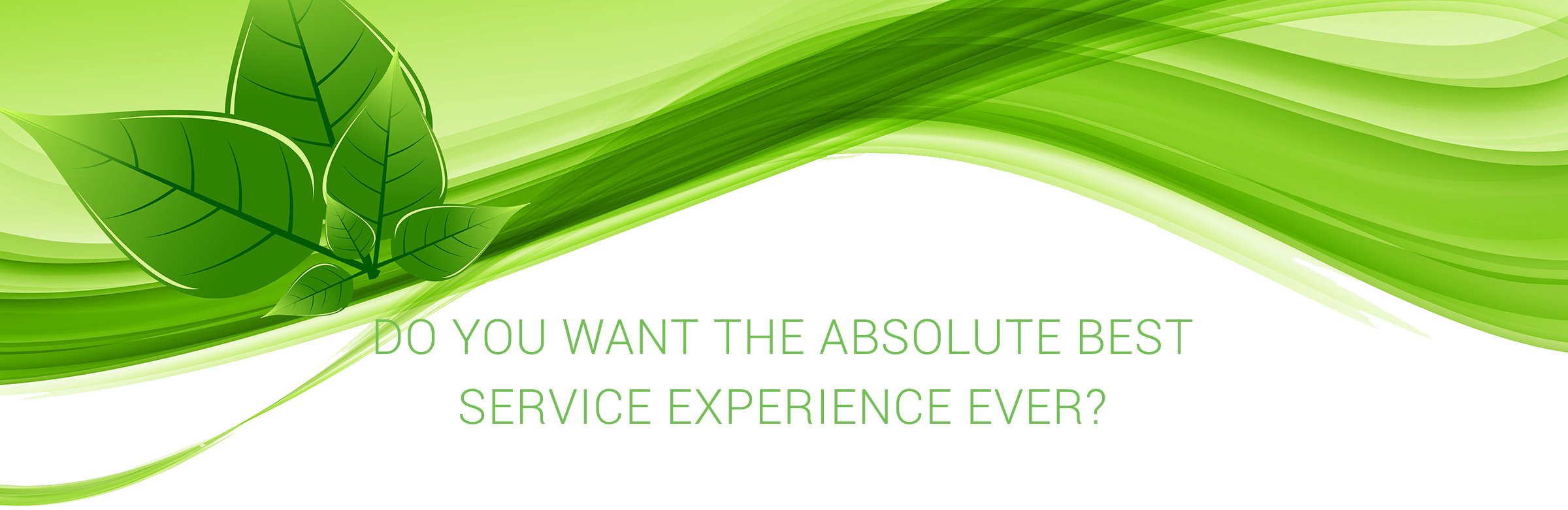 Winnipeg Green Carpet Cleaning